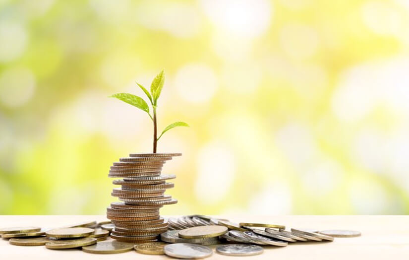 Coins Tree as a Symbol of Financial Growth